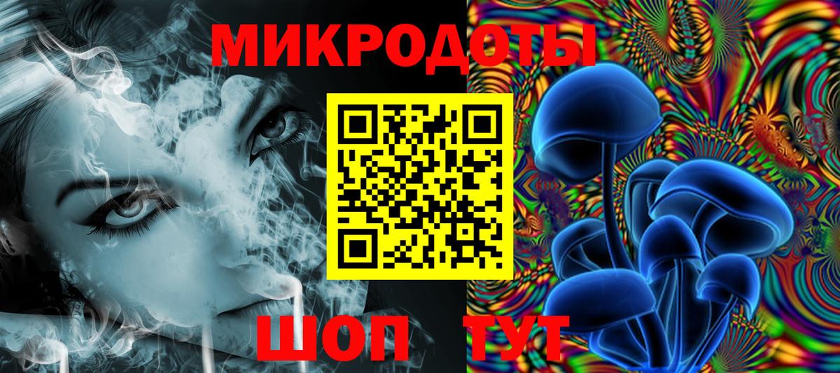 Псилоцибиновые грибы GOLDEN TEACHER Кисловодск