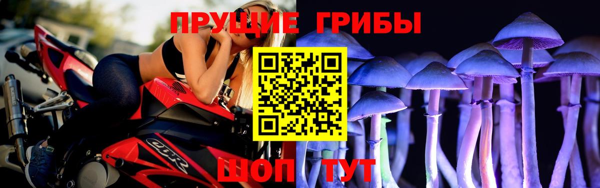 Галлюциногенные грибы мицелий  Псилоцибиновые грибы Magic Shrooms  Вход с VPN  Кисловодск 